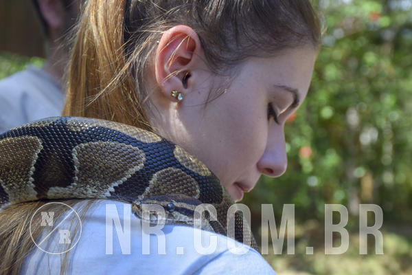 Buy your photos of the eventNR1 - ADJ - 29/01 a 03/02/19 on Fotop