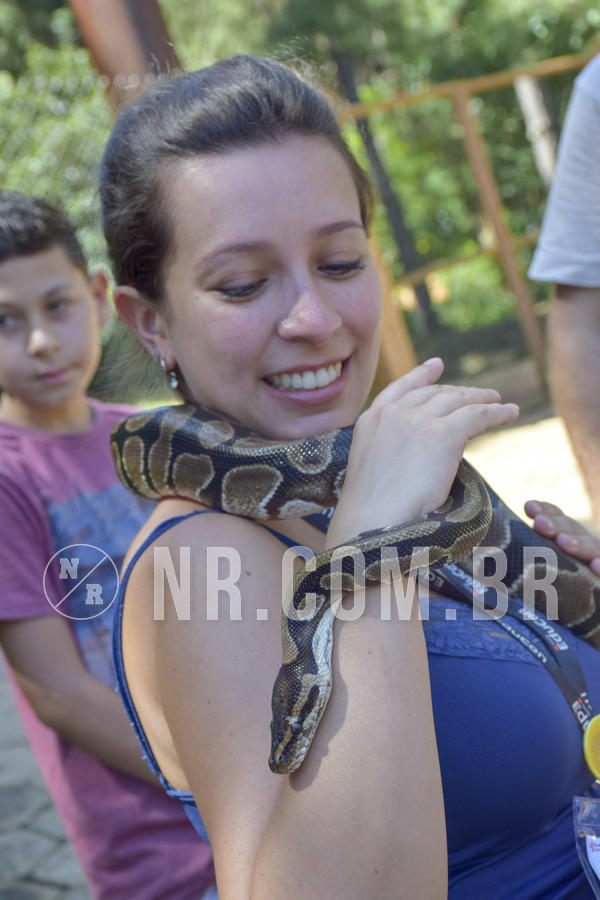 Buy your photos of the eventNR1 - ADJ - 29/01 a 03/02/19 on Fotop