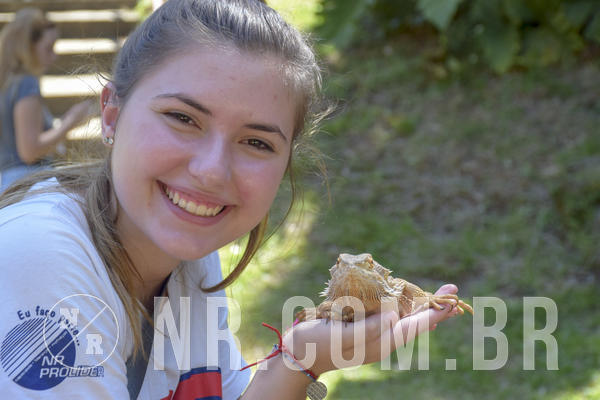 Buy your photos of the eventNR1 - ADJ - 29/01 a 03/02/19 on Fotop