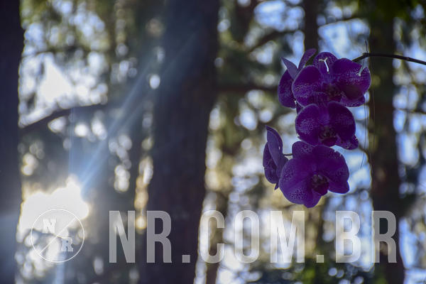 Buy your photos of the eventNR1 - ADJ - 29/01 a 03/02/19 on Fotop