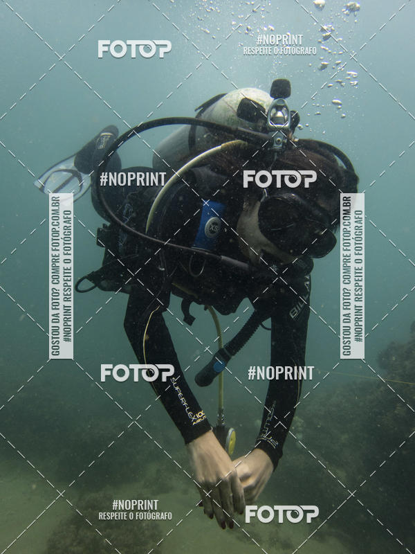 Buy your photos of the eventMergulho-Salvador-Maro on Fotop