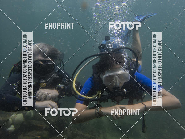 Buy your photos of the eventMergulho-Salvador-Maro on Fotop