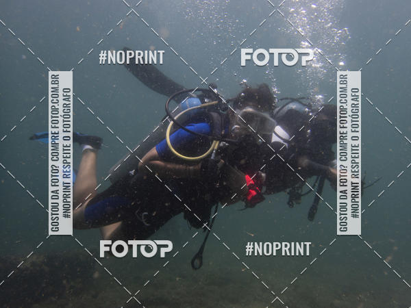Buy your photos of the eventMergulho-Salvador-Maro on Fotop