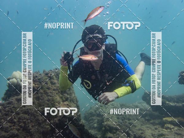 Buy your photos of the eventMergulho-Salvador-Maro on Fotop