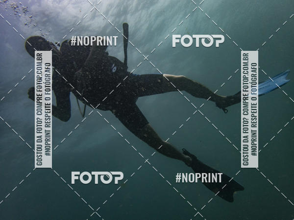 Buy your photos of the eventMergulho-Salvador-Maro on Fotop