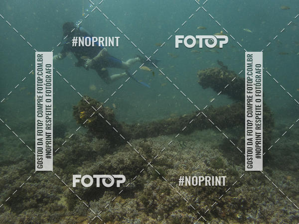 Buy your photos of the eventMergulho-Salvador-Maro on Fotop