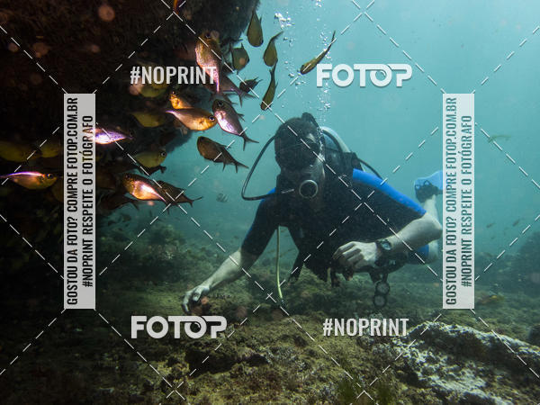 Buy your photos of the eventMergulho-Salvador-Maro on Fotop