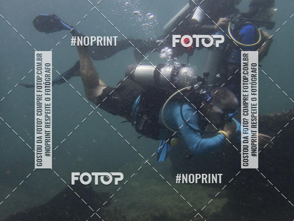 Buy your photos of the eventMergulho-Salvador-Maro on Fotop