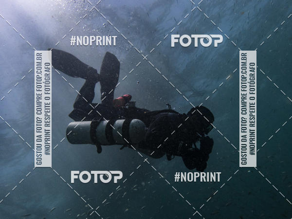 Buy your photos of the eventMergulho-Salvador-Maro on Fotop