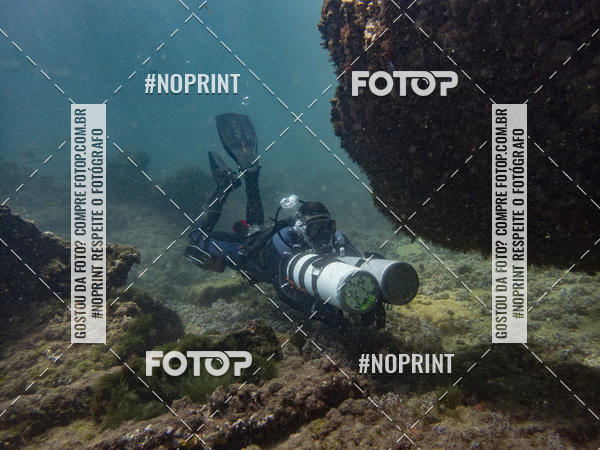 Buy your photos of the eventMergulho-Salvador-Maro on Fotop
