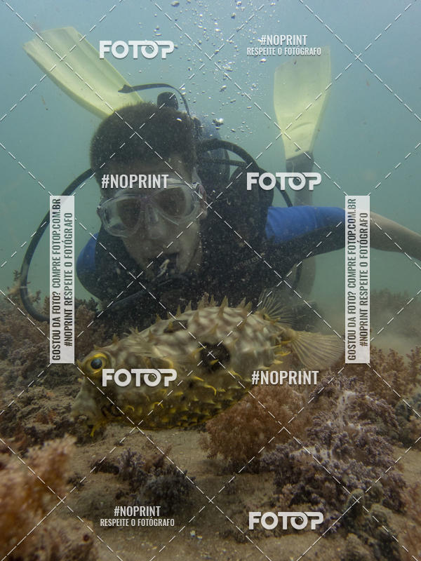 Buy your photos of the eventMergulho-Salvador-Maro on Fotop