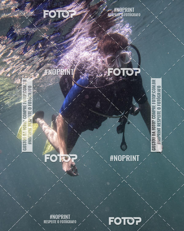 Buy your photos of the eventMergulho-Salvador-Maro on Fotop