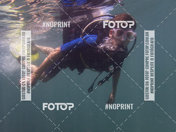 Buy your photos of the eventMergulho-Salvador-Maro on Fotop