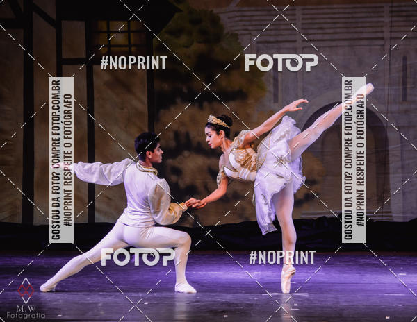 Buy your photos of the eventCopp�lia - Opus Ballet on Fotop