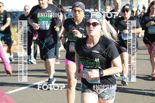 Buy your photos of the event15 Corrida Unimed Jundia on Fotop