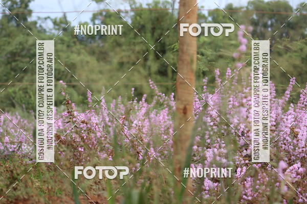 Buy your photos of the event6.Meia Maratona Rstica de Joo Jil on Fotop