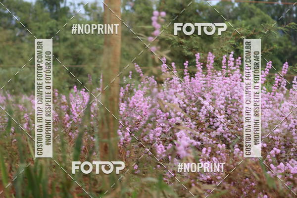 Buy your photos of the event6.Meia Maratona Rstica de Joo Jil on Fotop