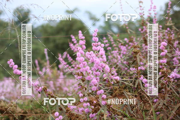 Buy your photos of the event6.Meia Maratona Rstica de Joo Jil on Fotop