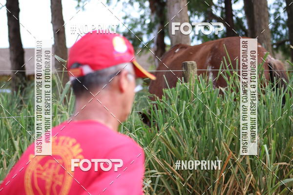 Buy your photos of the event6.Meia Maratona Rstica de Joo Jil on Fotop
