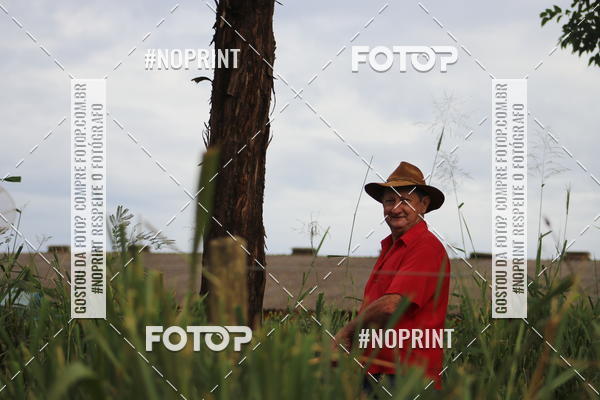 Buy your photos of the event6.Meia Maratona Rstica de Joo Jil on Fotop