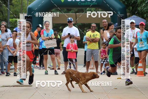 Buy your photos of the event6.Meia Maratona Rstica de Joo Jil on Fotop