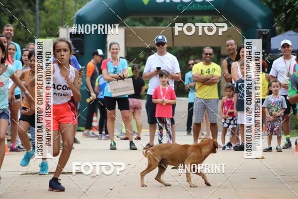 Buy your photos of the event6.Meia Maratona Rstica de Joo Jil on Fotop