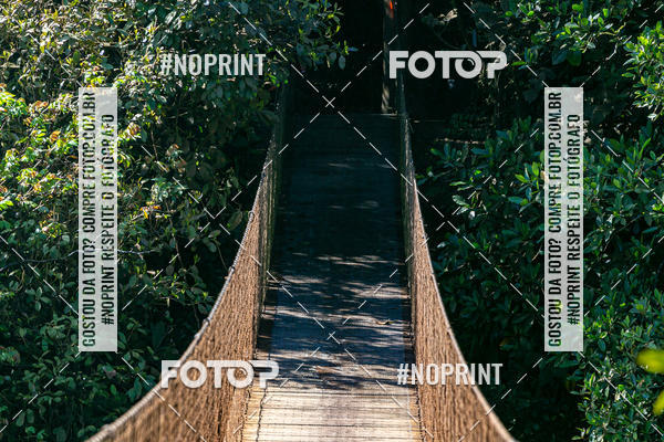 Buy your photos of the eventBrasil Ride Mundial MTB Solo Costa Rica 2019 24h on Fotop