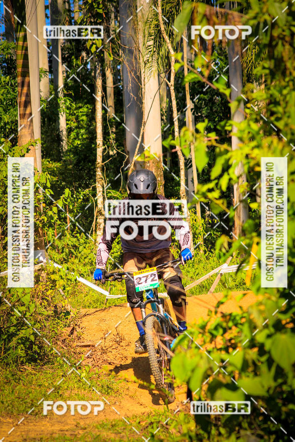 Buy your photos of the eventSul Brasileiro de Downhill on Fotop