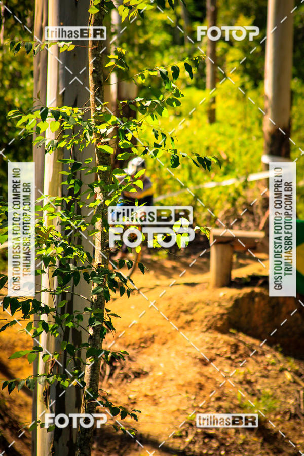 Buy your photos of the eventSul Brasileiro de Downhill on Fotop