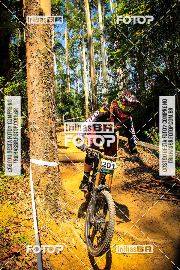 Buy your photos of the eventSul Brasileiro de Downhill on Fotop