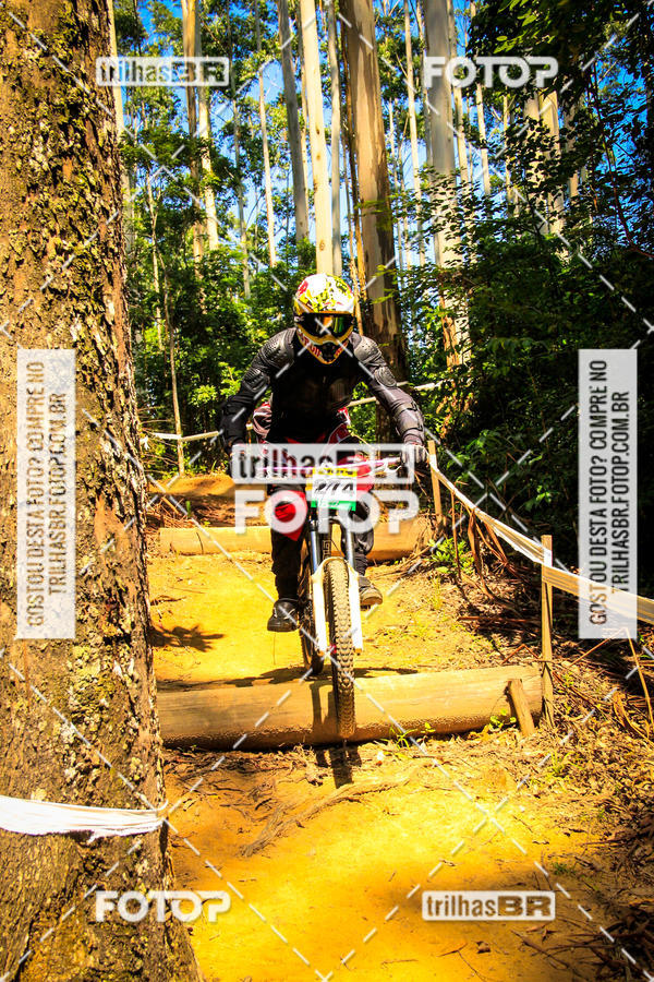 Buy your photos of the eventSul Brasileiro de Downhill on Fotop