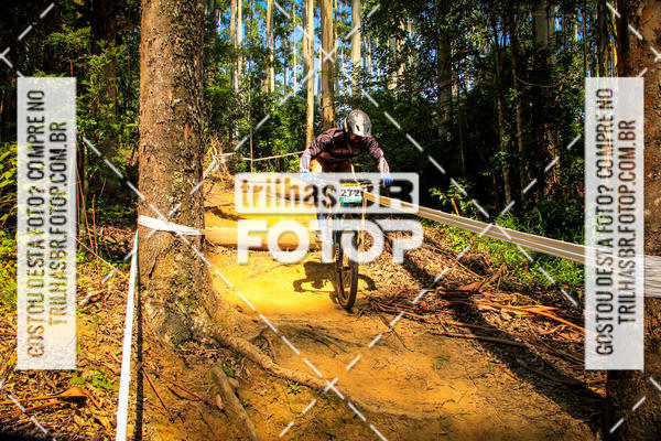 Buy your photos of the eventSul Brasileiro de Downhill on Fotop