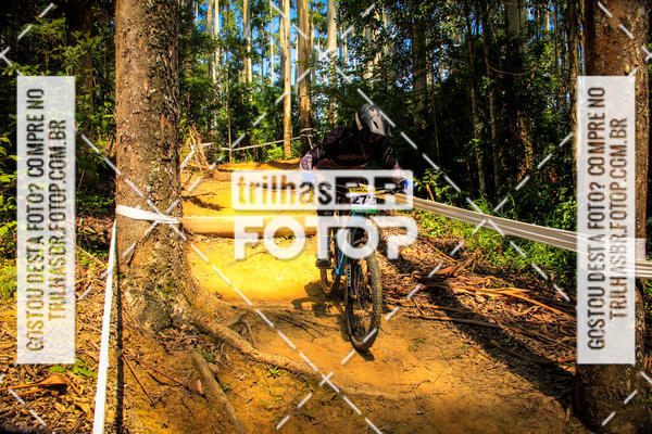 Buy your photos of the eventSul Brasileiro de Downhill on Fotop