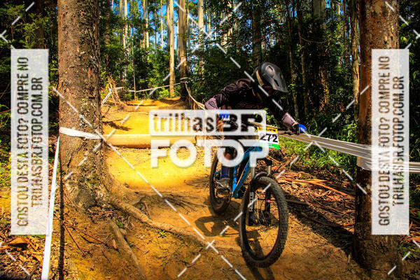 Buy your photos of the eventSul Brasileiro de Downhill on Fotop