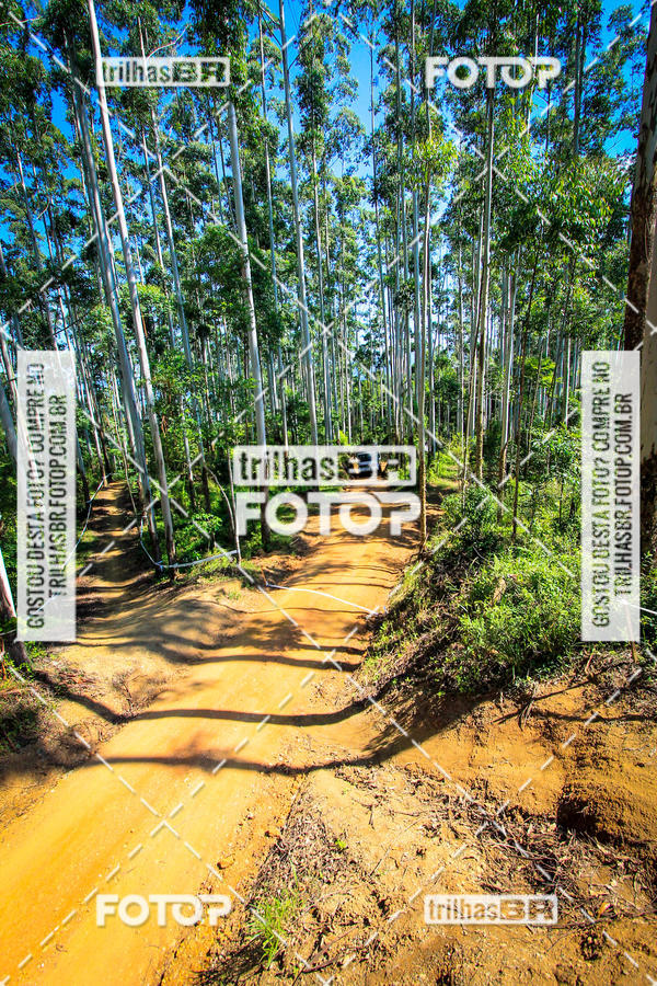 Buy your photos of the eventSul Brasileiro de Downhill on Fotop