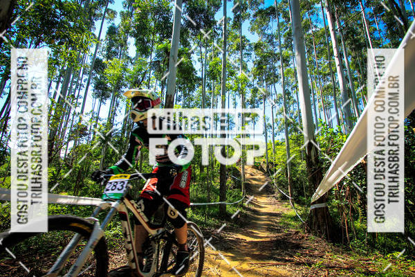 Buy your photos of the eventSul Brasileiro de Downhill on Fotop