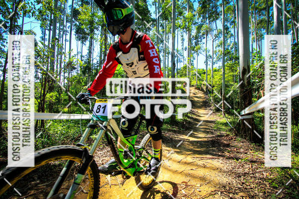 Buy your photos of the eventSul Brasileiro de Downhill on Fotop
