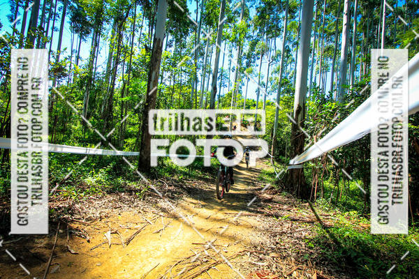 Buy your photos of the eventSul Brasileiro de Downhill on Fotop