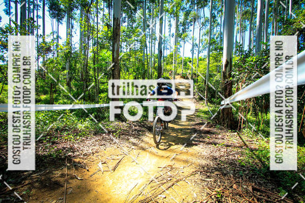 Buy your photos of the eventSul Brasileiro de Downhill on Fotop