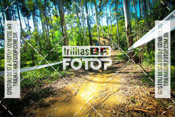 Buy your photos of the eventSul Brasileiro de Downhill on Fotop