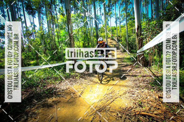 Buy your photos of the eventSul Brasileiro de Downhill on Fotop