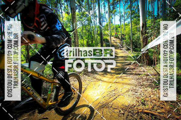 Buy your photos of the eventSul Brasileiro de Downhill on Fotop