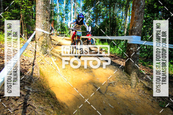 Buy your photos of the eventSul Brasileiro de Downhill on Fotop