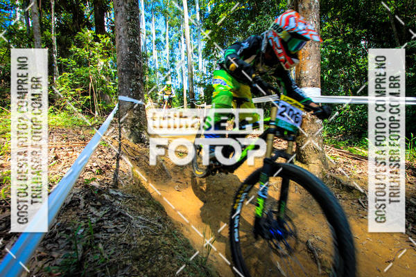Buy your photos of the eventSul Brasileiro de Downhill on Fotop
