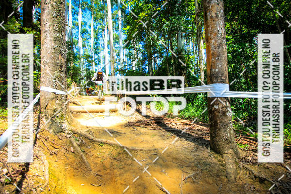 Buy your photos of the eventSul Brasileiro de Downhill on Fotop