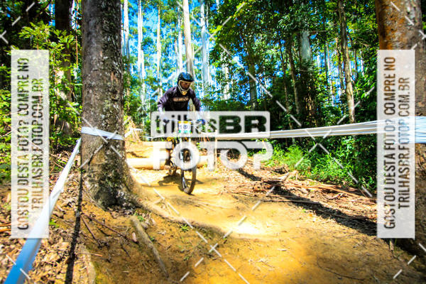 Buy your photos of the eventSul Brasileiro de Downhill on Fotop