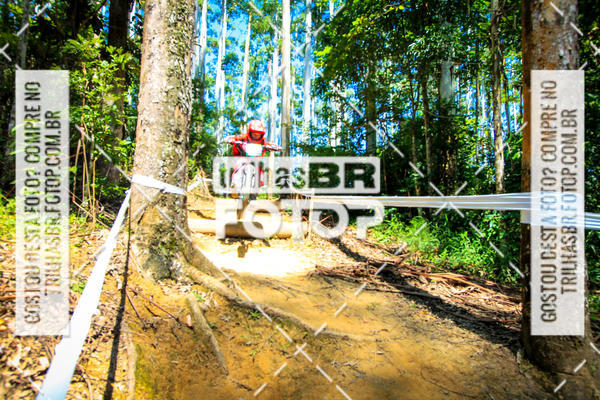 Buy your photos of the eventSul Brasileiro de Downhill on Fotop