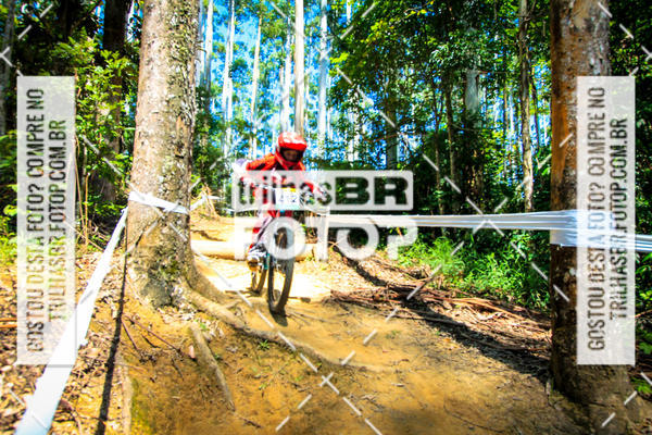 Buy your photos of the eventSul Brasileiro de Downhill on Fotop