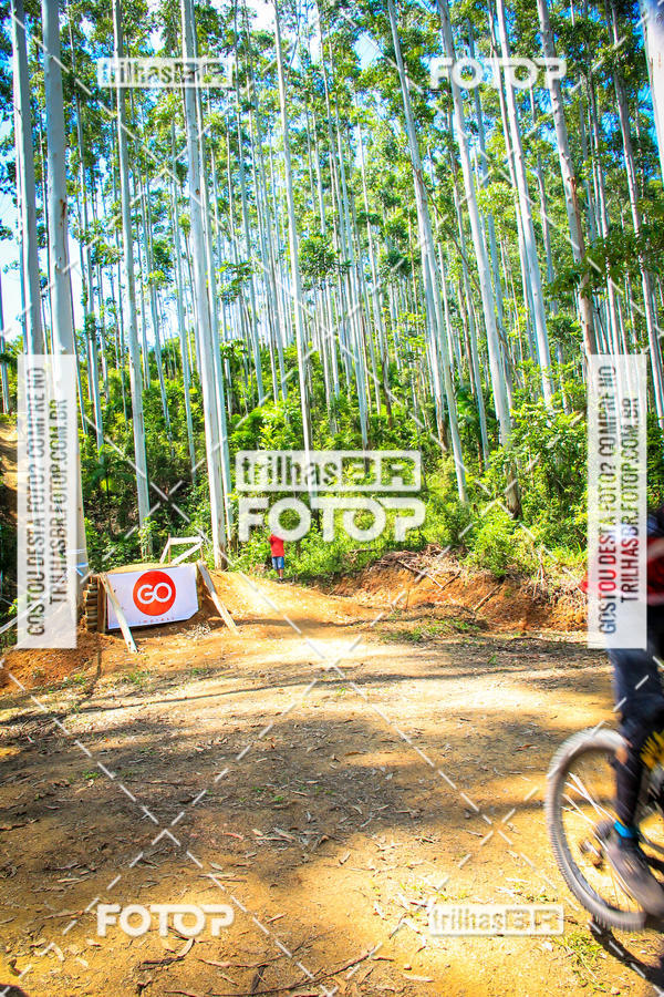 Buy your photos of the eventSul Brasileiro de Downhill on Fotop