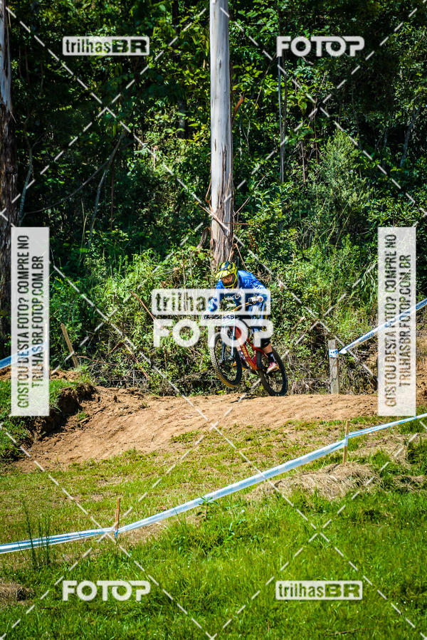 Buy your photos of the eventSul Brasileiro de Downhill on Fotop